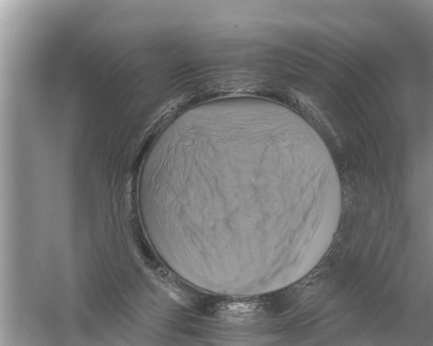 X0000058780163200510282020