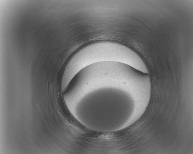 X0000058780164200510282020