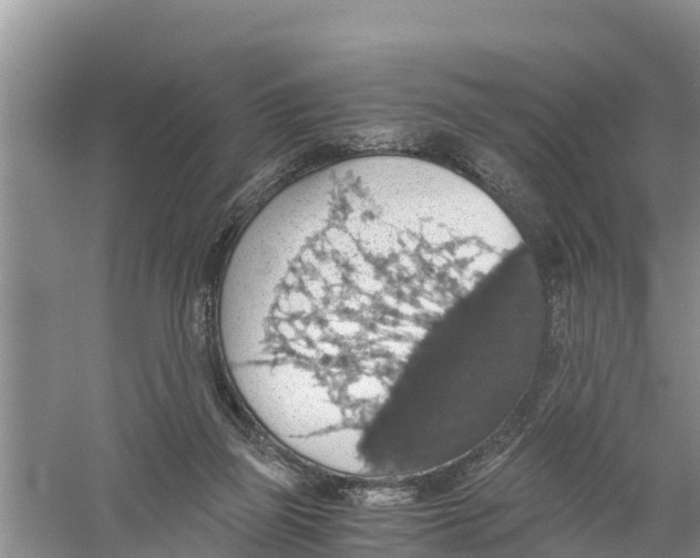 X0000058780165200510282020