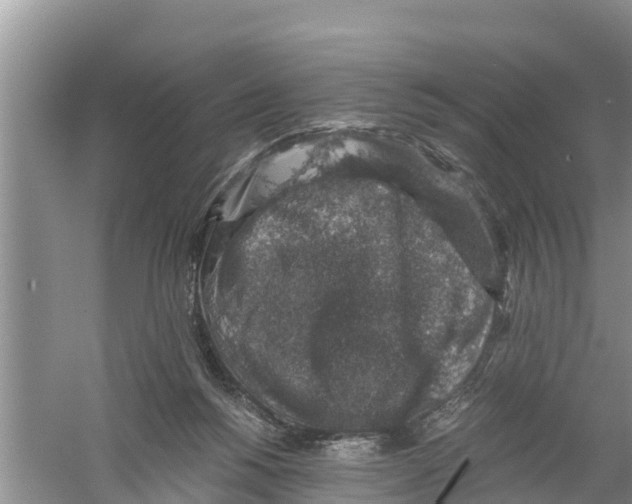 X0000058780168200510282020