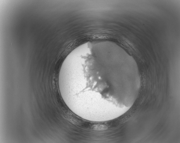 X0000058780169200510282020