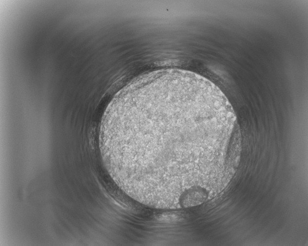 X0000058780171200510282020