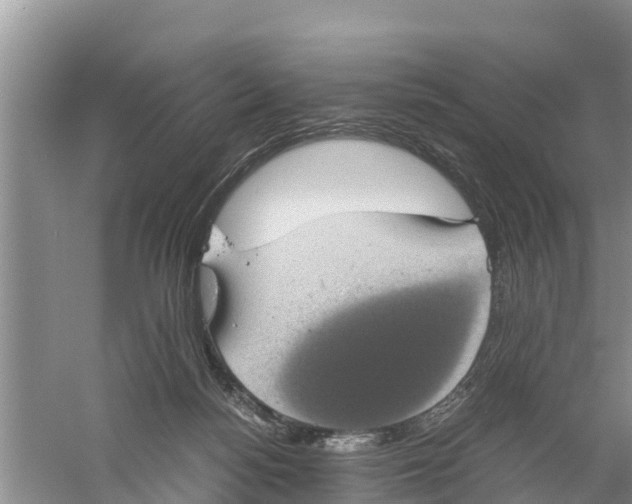 X0000058780172200510282020