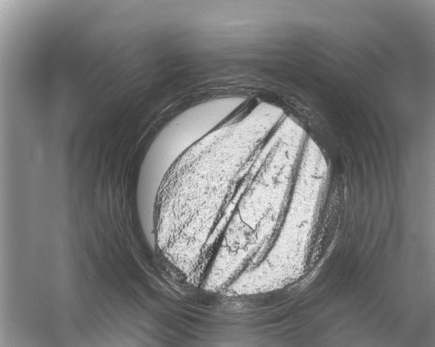 X0000058780174200510282020