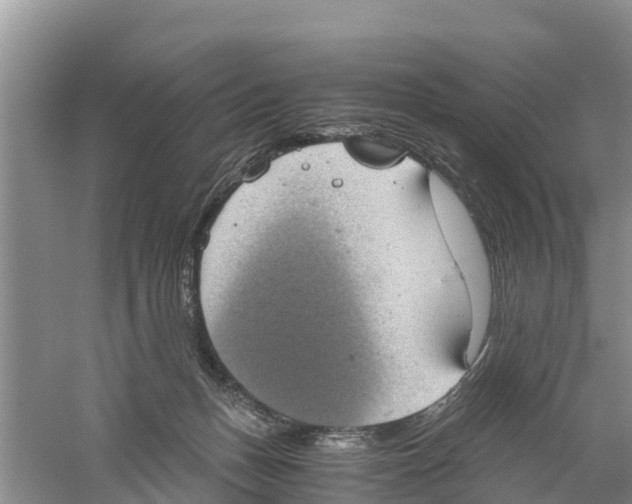 X0000058780175200510282020