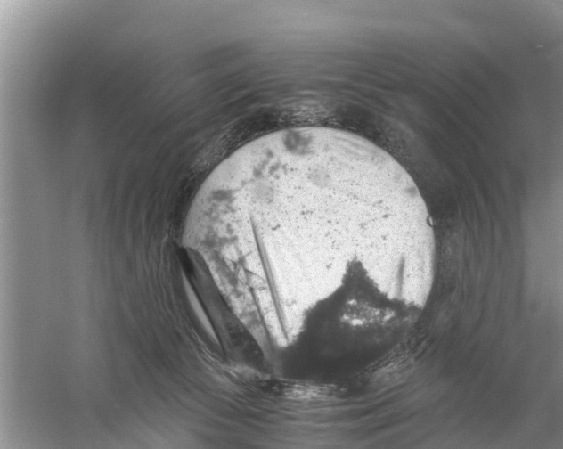 X0000058780177200510282020