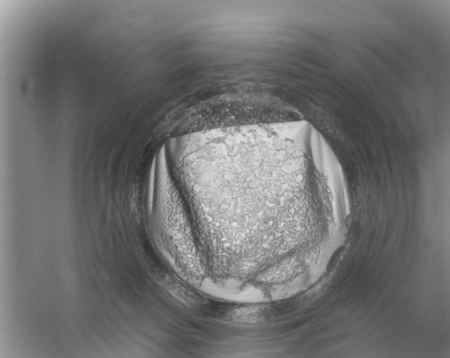 X0000058780178200510282020