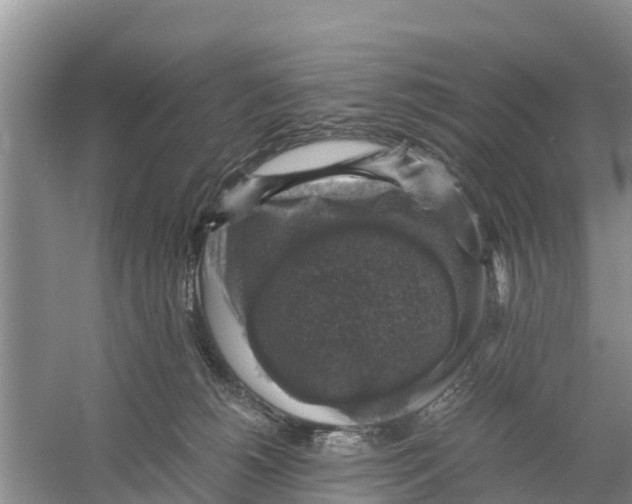 X0000058780180200510282020