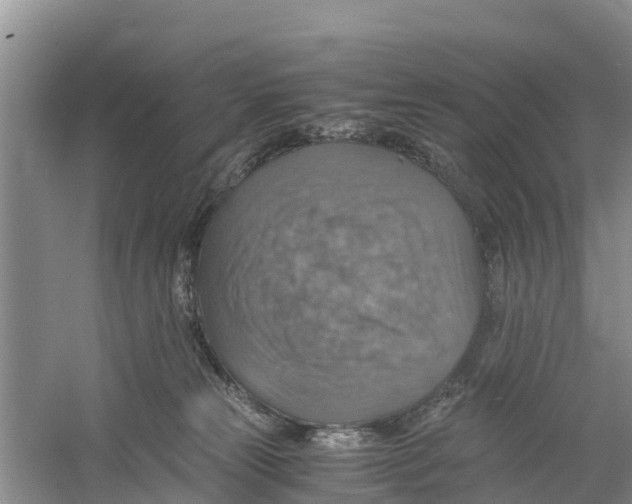 X0000058780181200510282020