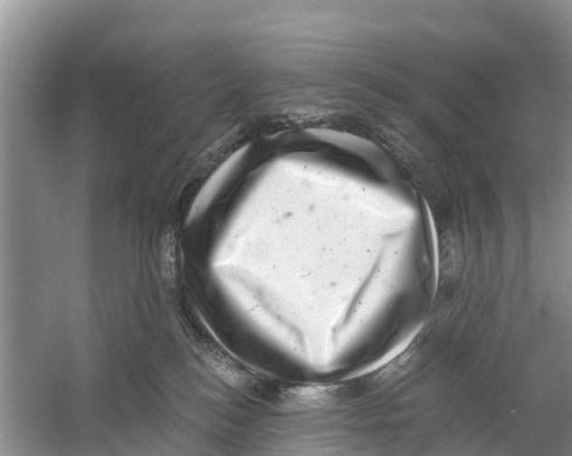 X0000058780184200510282020