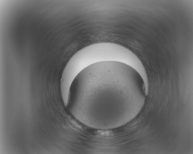 X0000058780185200510282020