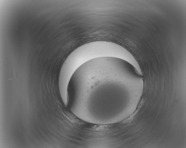 X0000058780186200510282020