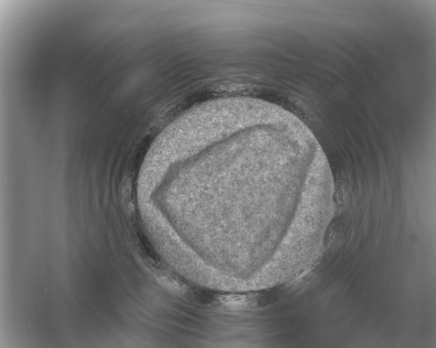 X0000058780187200510282021