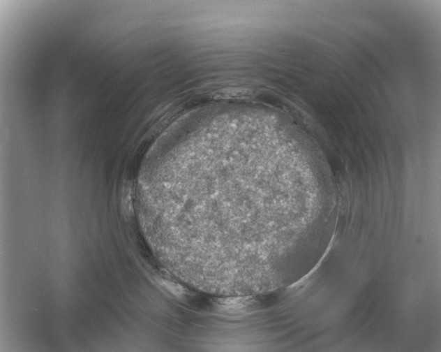 X0000058780191200510282021