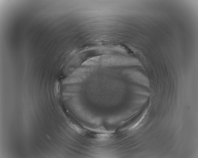 X0000058780192200510282021