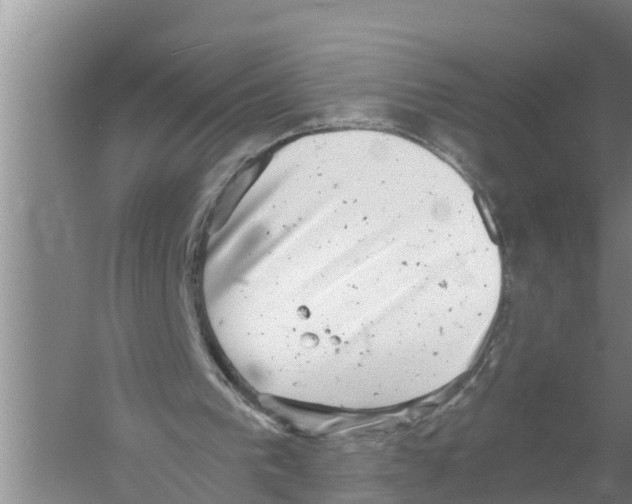 X0000058780193200510282020