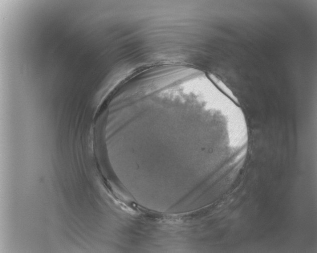 X0000058780194200510282020