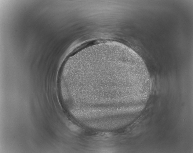 X0000058780195200510282020