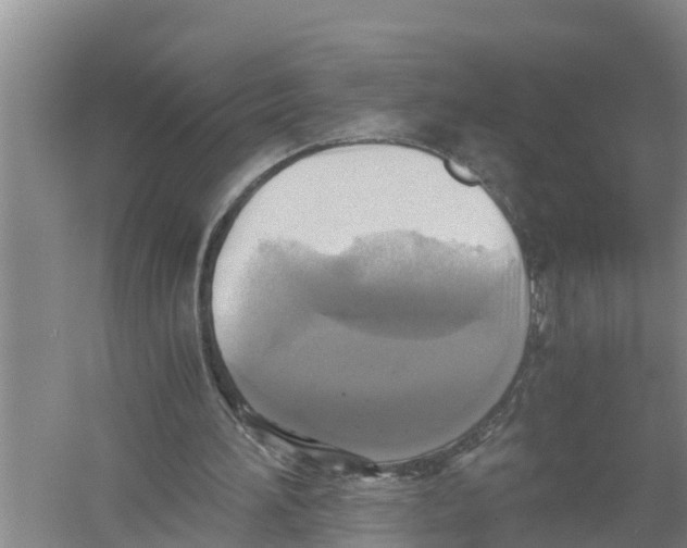 X0000058780196200510282020