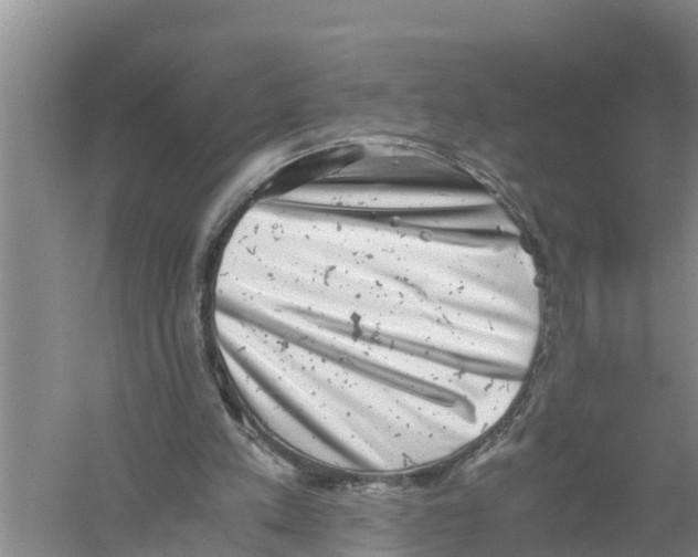 X0000058780197200510282020