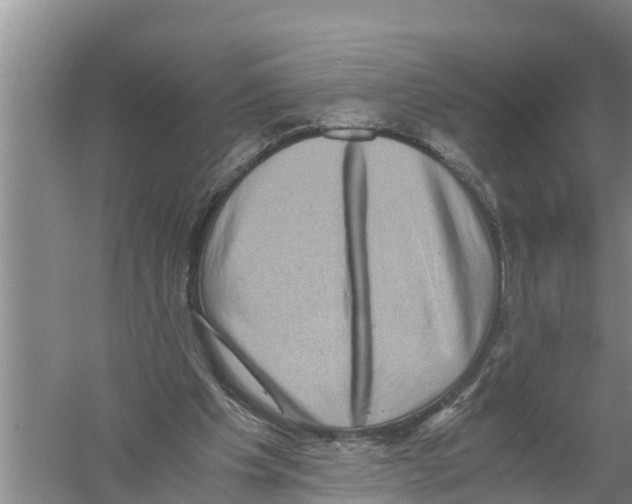 X0000058780201200510282020