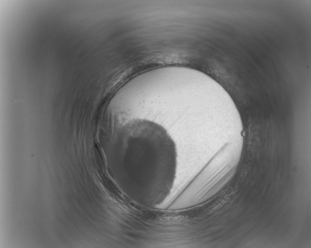 X0000058780202200510282020