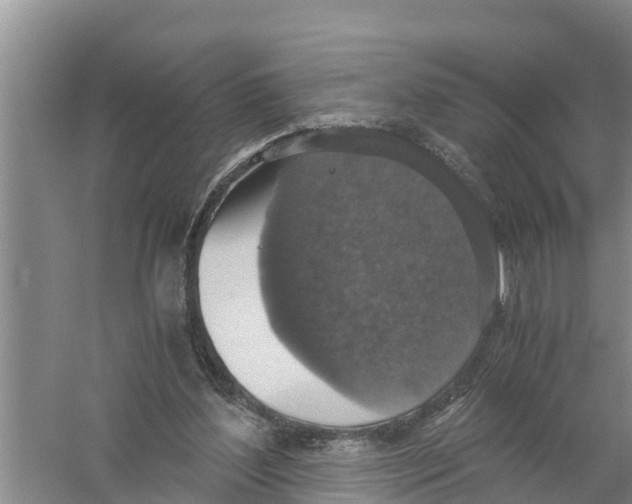 X0000058780204200510282020