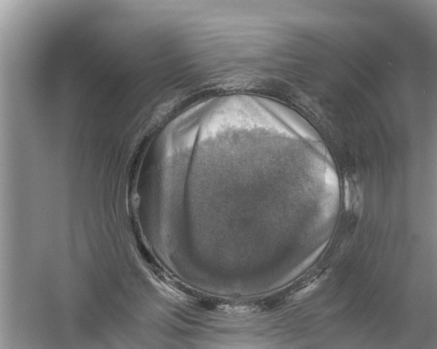 X0000058780205200510282020