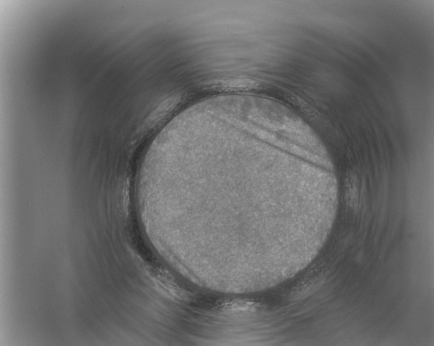 X0000058780206200510282020