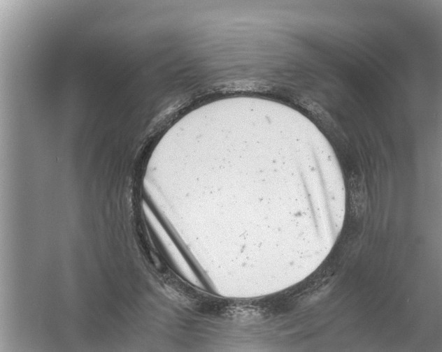 X0000058780207200510282020