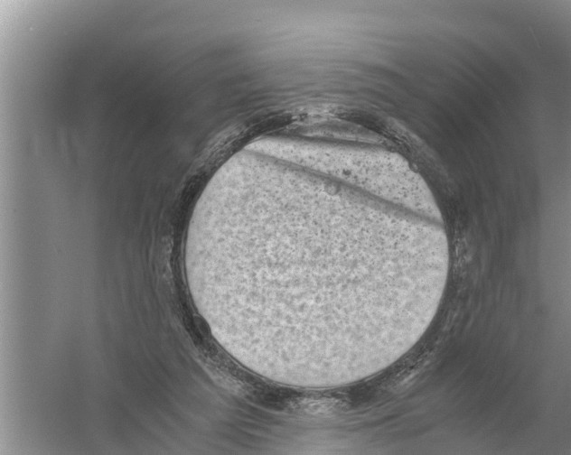 X0000058780209200510282019