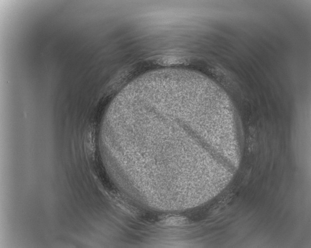 X0000058780210200510282019