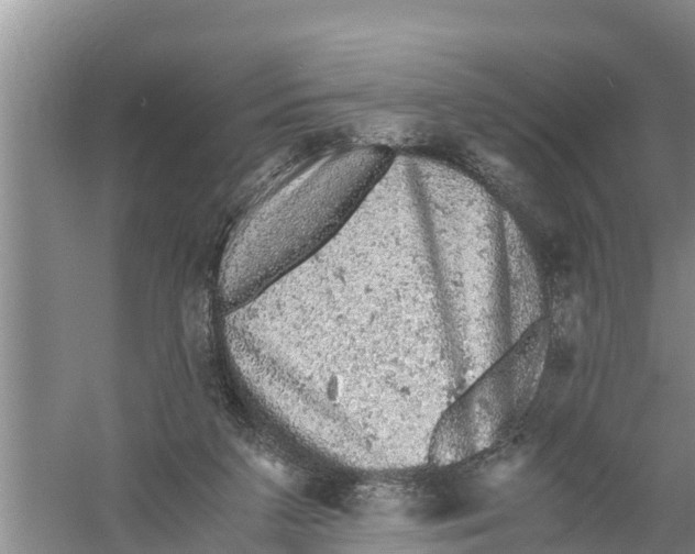 X0000058780211200510282019