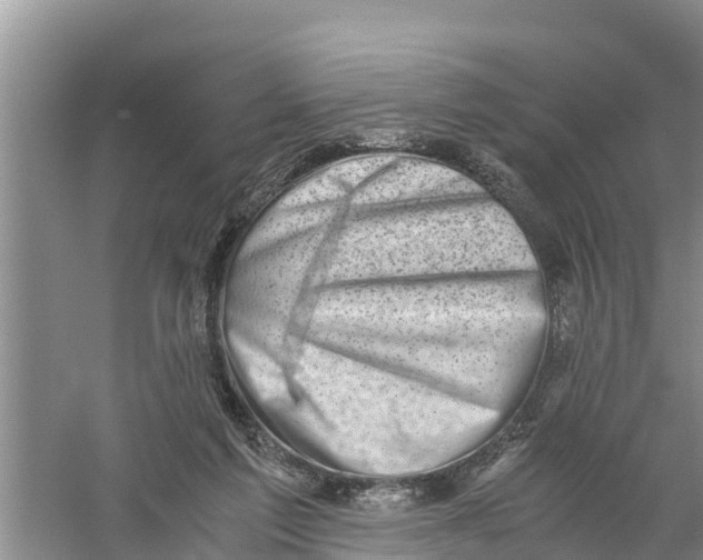 X0000058780213200510282019