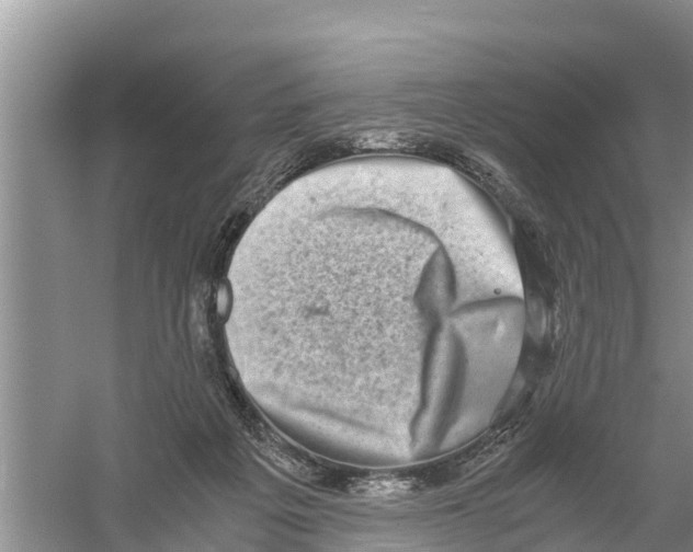 X0000058780217200510282019