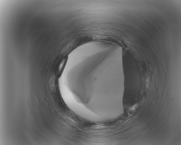 X0000058780219200510282019