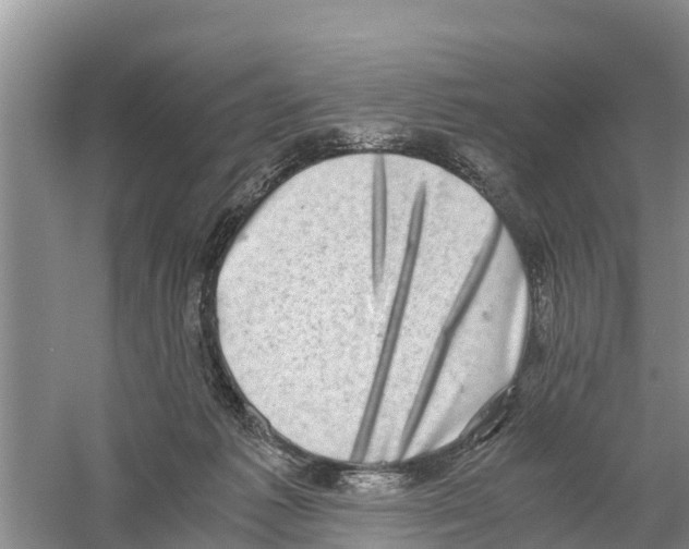 X0000058780221200510282019