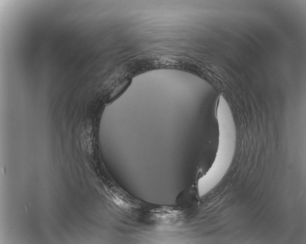 X0000058780223200510282019