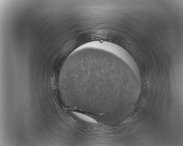 X0000058780224200510282019