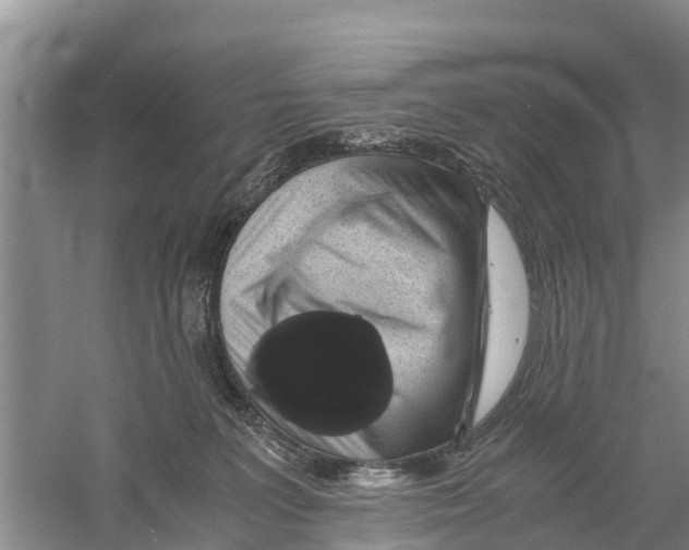 X0000058780227200510282019