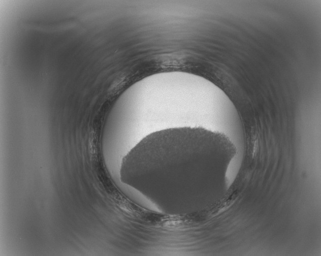 X0000058780228200510282019