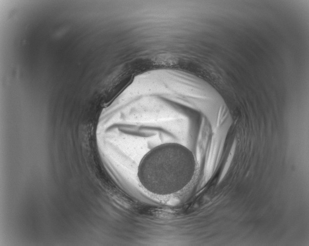 X0000058780229200510282019