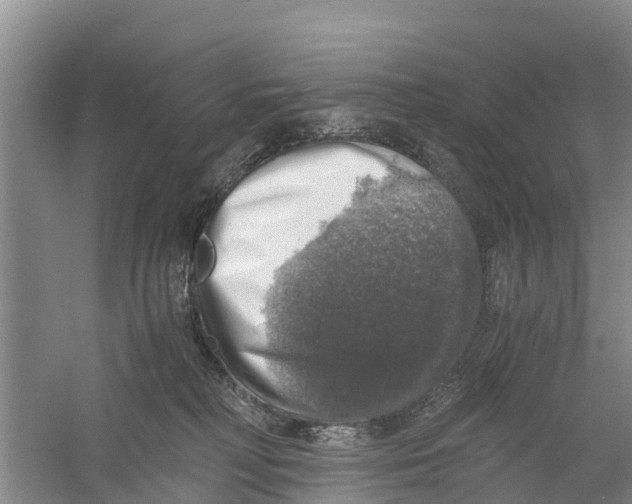 X0000058780230200510282019