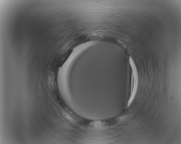 X0000058780231200510282019