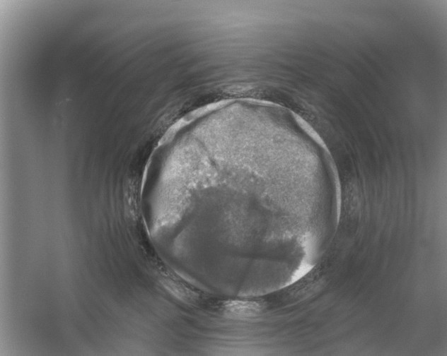 X0000058780234200510282019