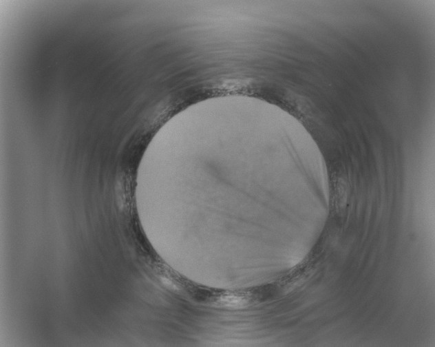 X0000058780236200510282019