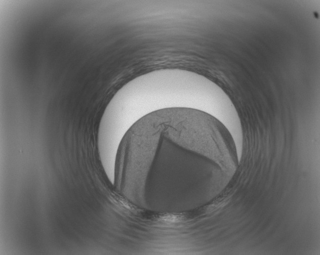 X0000058780237200510282019