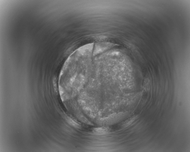 X0000058780238200510282019