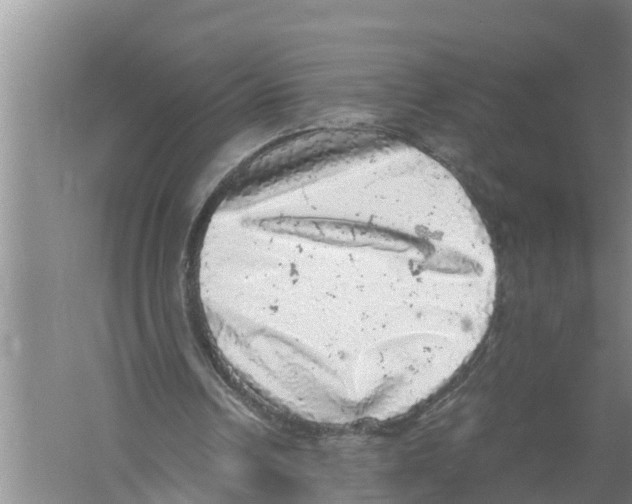 X0000058780242200510282018