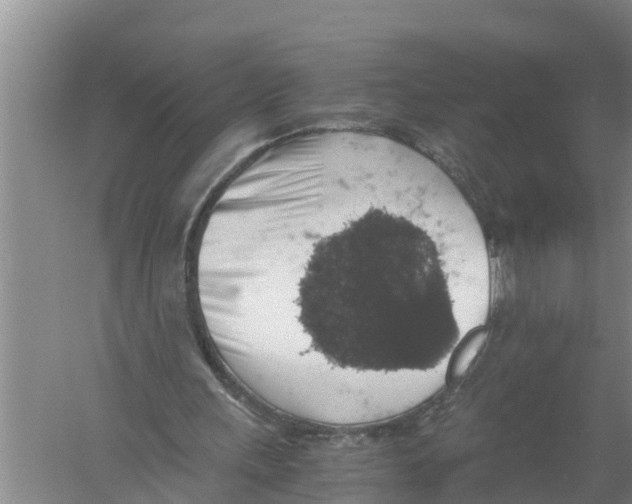 X0000058780243200510282018